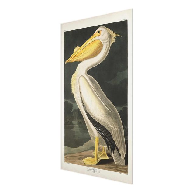 Quadro in vetro - Pelican White Board Vintage - Verticale 3:2