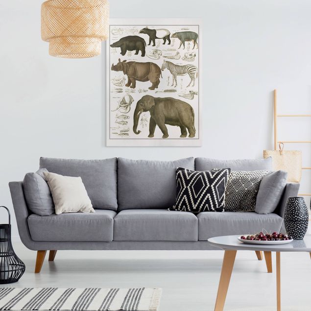 stampe animali Bacheca Vintage Elefante, zebra e rinoceronte