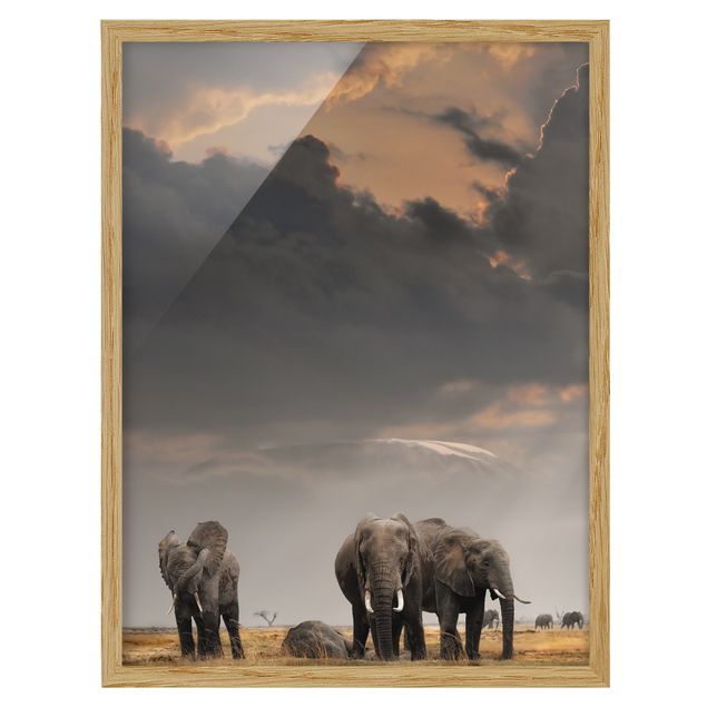 Poster con cornice - Elephant Savanna - Verticale 4:3