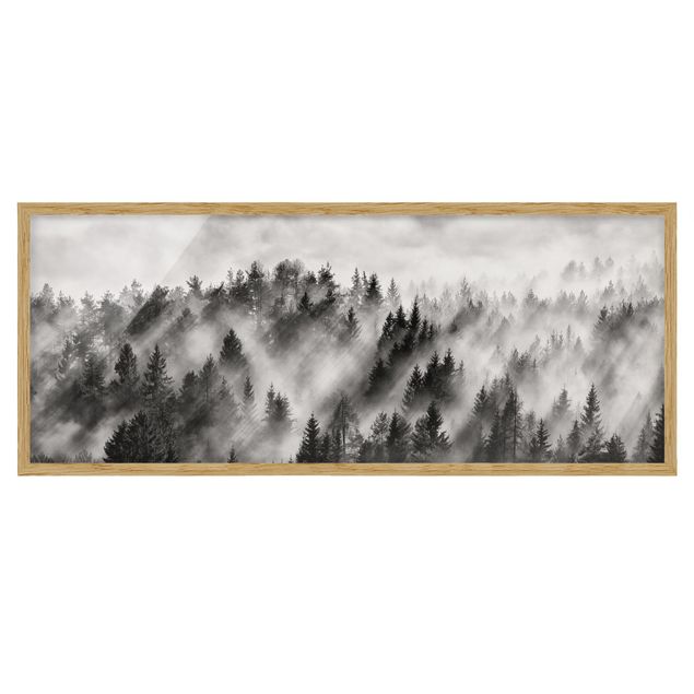 Poster con cornice - Raggi Luce nella foresta di conifere - Panorama formato orizzontale