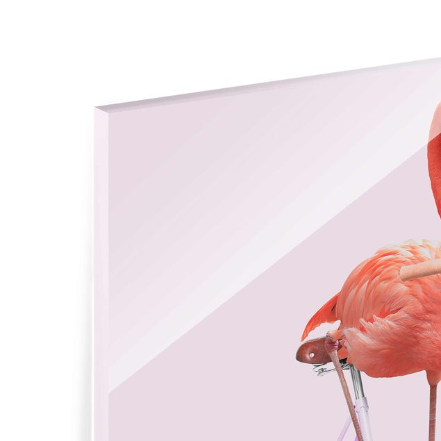 Quadro in vetro - Flamingo con la bicicletta - Quadrato 1:1