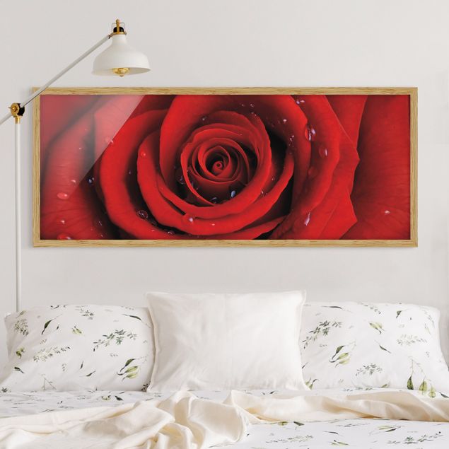 Poster con cornice - Rosa Rossa Con Gocce D'Acqua - Panorama formato orizzontale