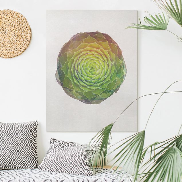 quadro astratto Acquerelli - Mandala di succulente