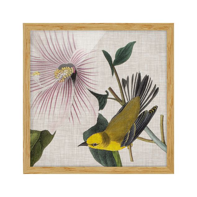 Poster con cornice - Bird On Linen Yellow I - Quadrato 1:1