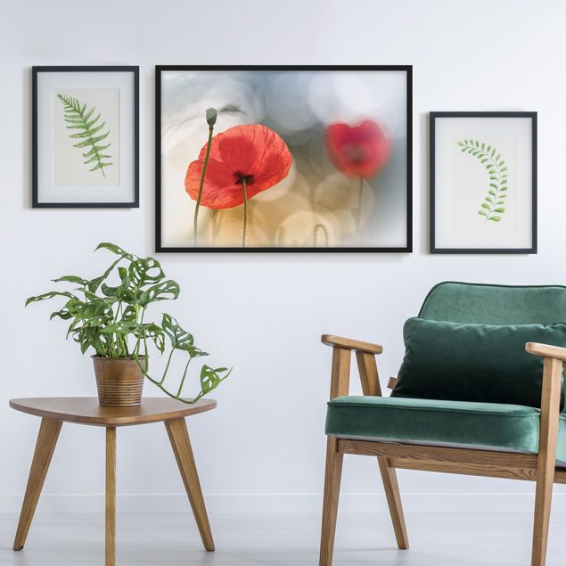Poster con cornice - Poppies In The Morning - Orizzontale 3:4