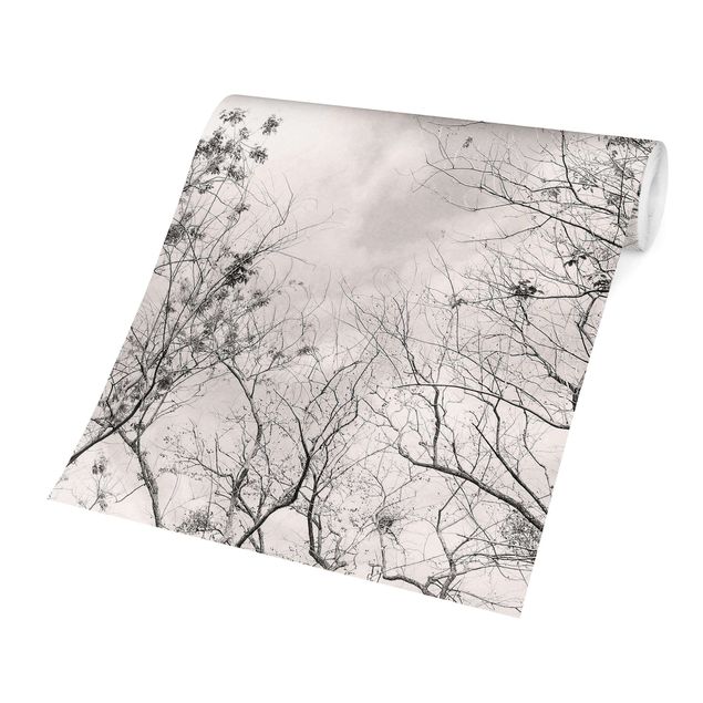 Carta da parati  - Cime degli alberi nel cielo grigio dai toni grigio-caldo