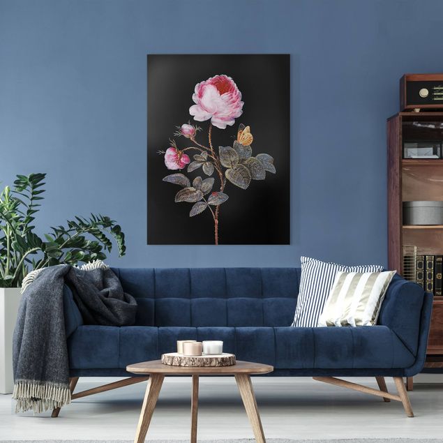 Riproduzione quadri su tela Barbara Regina Dietzsch - La rosa dai cento petali