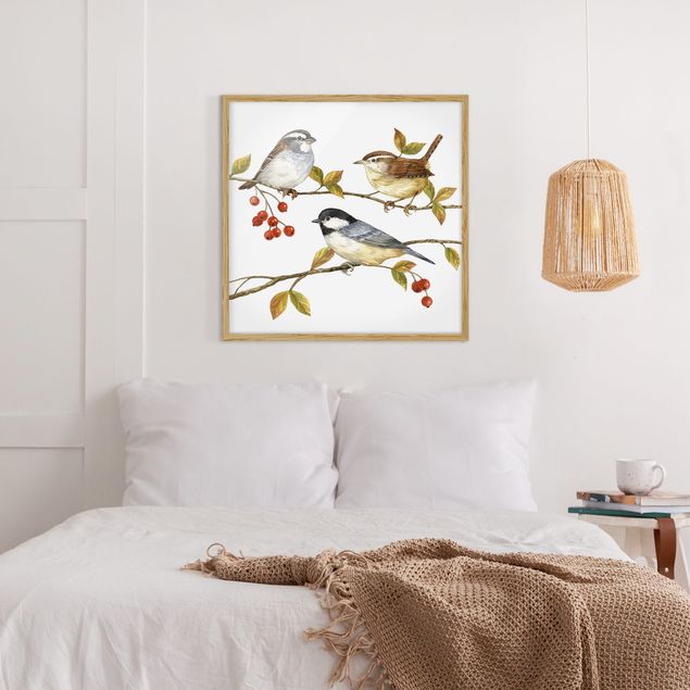 Poster con cornice - Uccelli e bacche - Cinciallegre - Quadrato 1:1