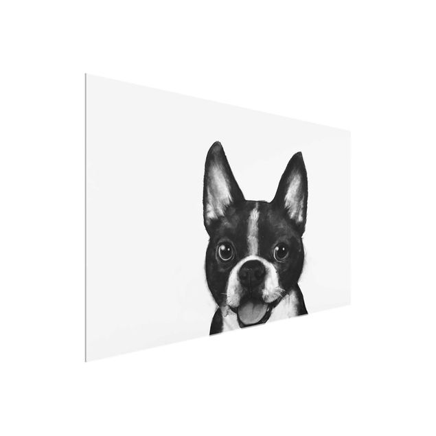 Quadro in vetro - Illustrazione Dog Boston Monochrome Pittura - Orizzontale 2:3