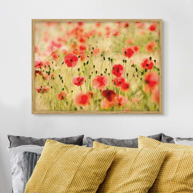 Poster con cornice - Summer Poppies - Orizzontale 3:4