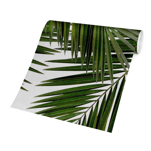 Carta da parati - Scorcio tra foglie di palme verdi