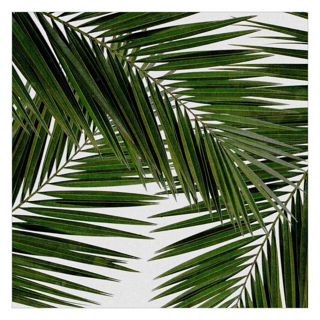 Carta da parati - Scorcio tra foglie di palme verdi