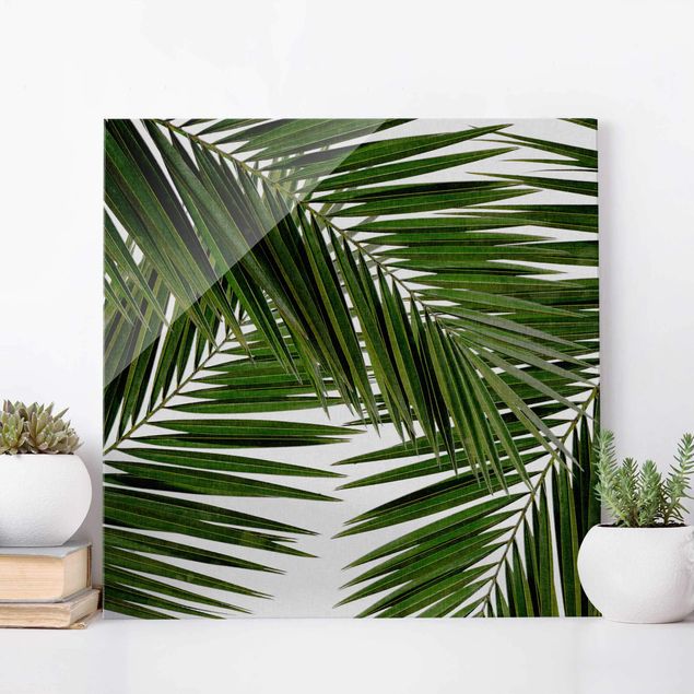 Lavagna magnetica vetro Vista attraverso le foglie di palma verde