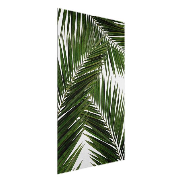 Quadro in vetro - Scorcio tra foglie di palme verdi