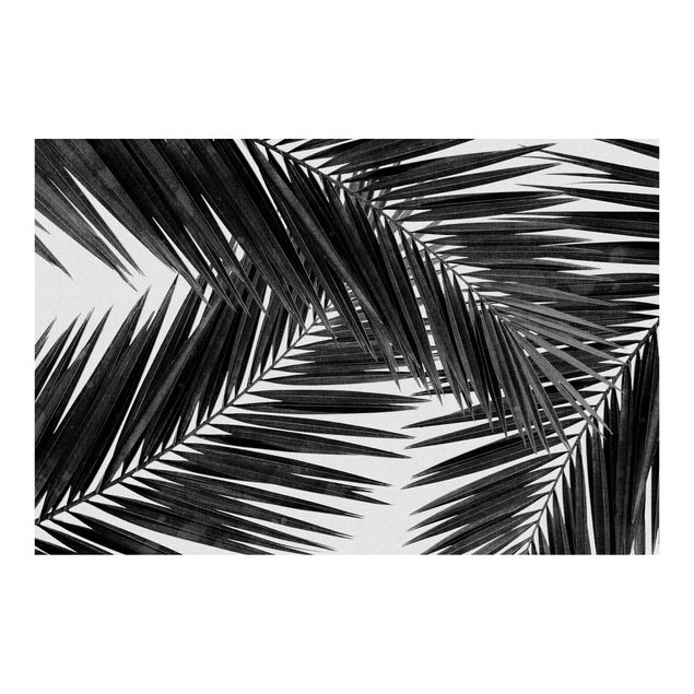 Carta da parati - Vista tra le foglie di palme in bianco e nero