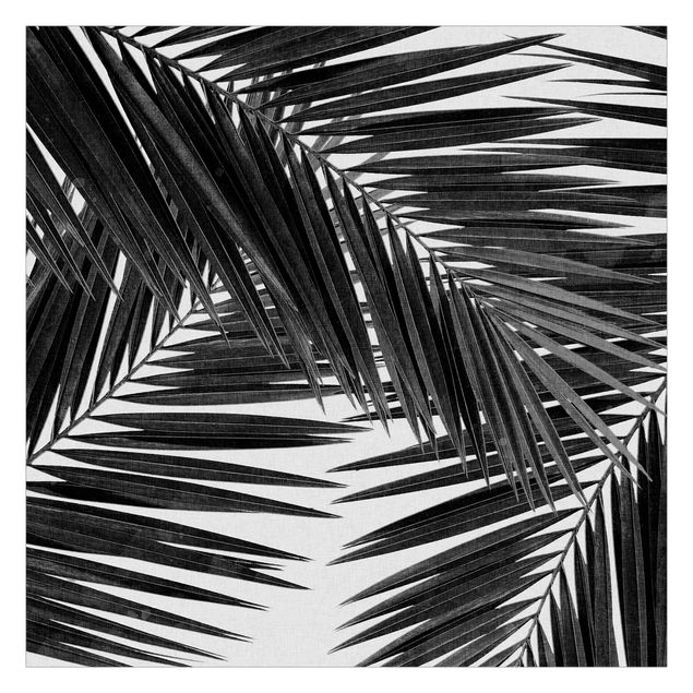 Carta da parati - Scorcio tra foglie di palme in bianco e nero