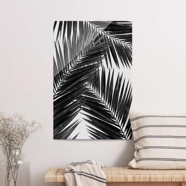 Lavagna magnetica in vetro Vista sulle foglie di palma in bianco e nero
