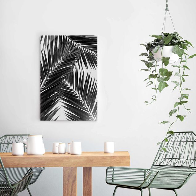 Quadro in vetro - Scorcio tra foglie di palme in bianco e nero