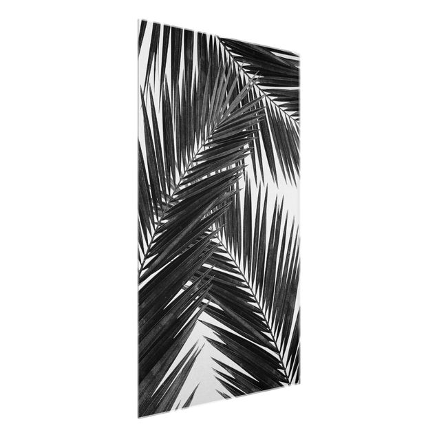 Quadro in vetro - Scorcio tra foglie di palme in bianco e nero
