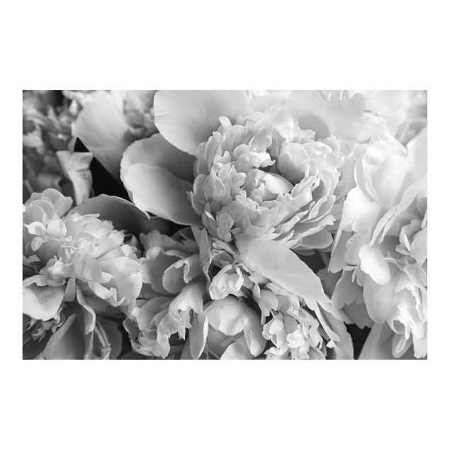 Carta da parati - Peonie in fiore bianco e nero