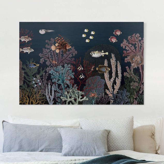 quadri con animali Colorata barriera corallina di notte