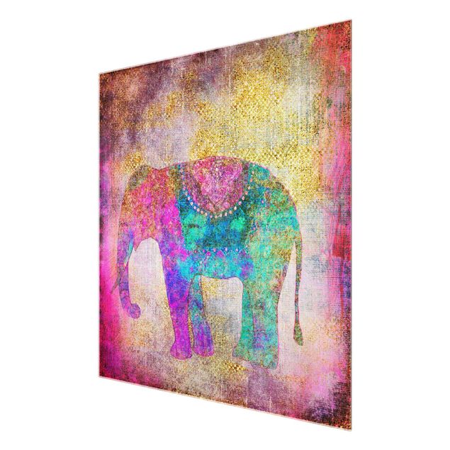 Quadro in vetro - Colorato collage - Elefante indiano - Quadrato 1:1