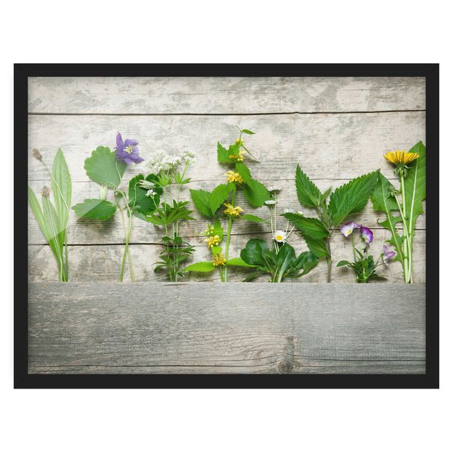 Poster con cornice - Medicinal And Wild Herbs - Orizzontale 3:4