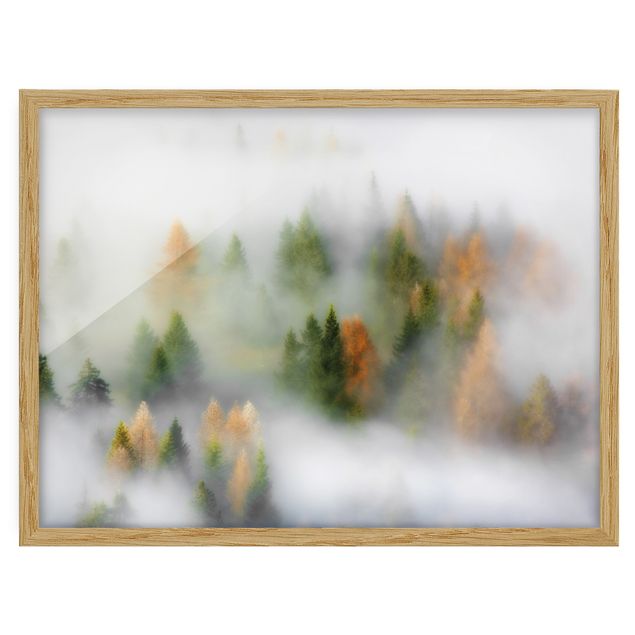 Poster con cornice - Nube di foresta in autunno - Orizzontale 3:4