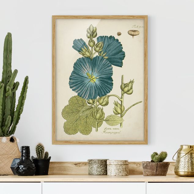 Poster con cornice - Vintage Botanica In Blue Rose pioppo - Verticale 4:3
