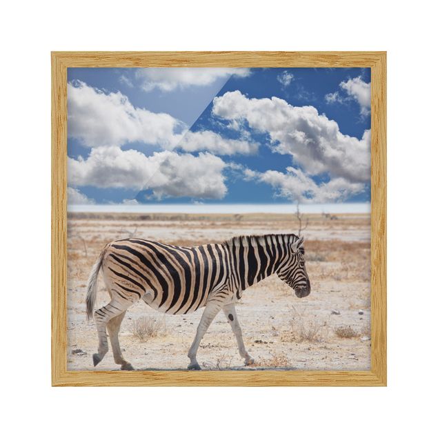 Poster con cornice - Zebra In The Savannah - Quadrato 1:1