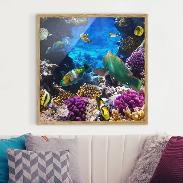 Poster con cornice - Underwater Dreams - Quadrato 1:1