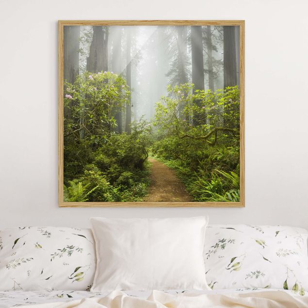 Poster con cornice - Misty Forest Path - Quadrato 1:1