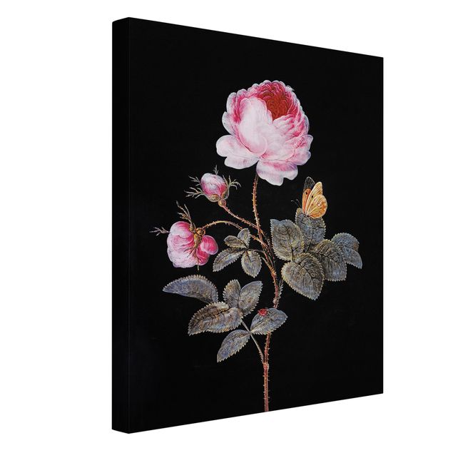 Stampe su tela Barbara Regina Dietzsch - La rosa dai cento petali