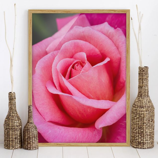 Poster con cornice - Pink Rose Bloom di fronte al verde - Verticale 4:3