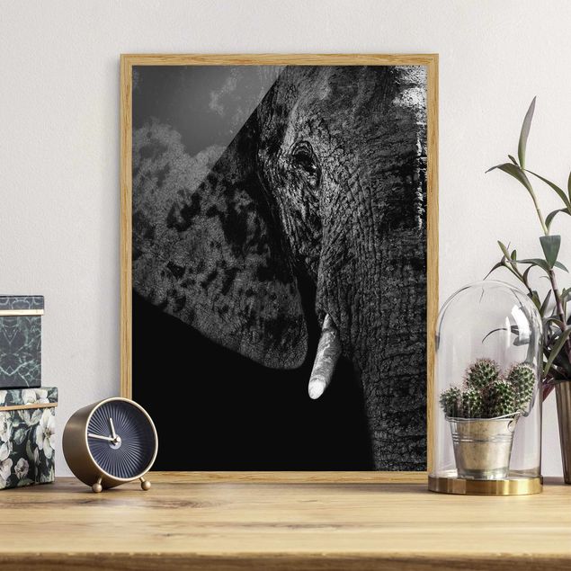 stampe animali Elefante africano in bianco e nero
