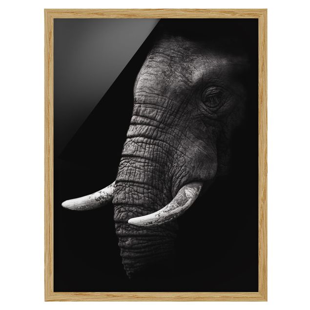 Poster con cornice - Scuro Elephant Portrait - Verticale 4:3
