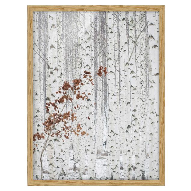 Poster con cornice - Birch Trees In Autumn - Verticale 4:3