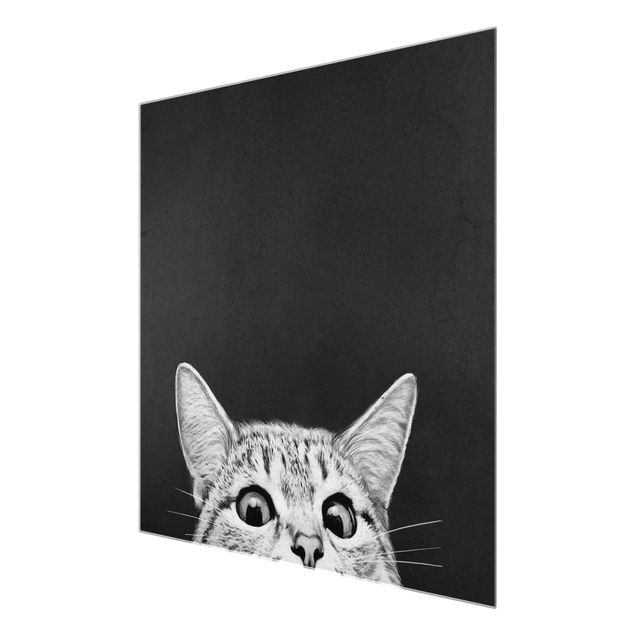 Quadro in vetro - Illustrazione Gatto Bianco e nero Disegno - Quadrato 1:1