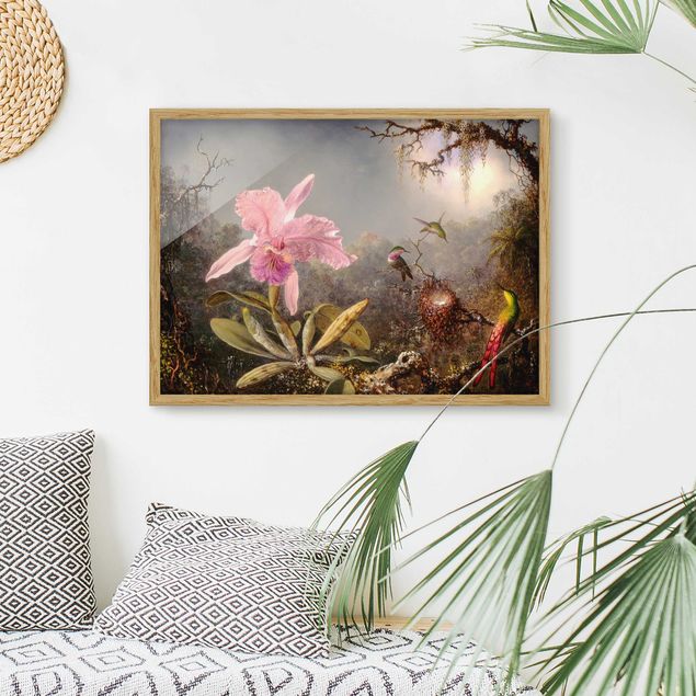 quadri con animali Martin Johnson Heade - Orchidea e tre colibrì