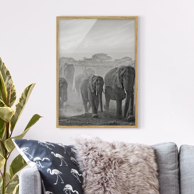 quadri con animali Branco di elefanti