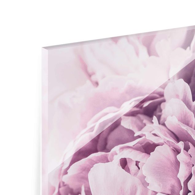 Quadro in vetro - Viola Peony Blossoms - Quadrato 1:1
