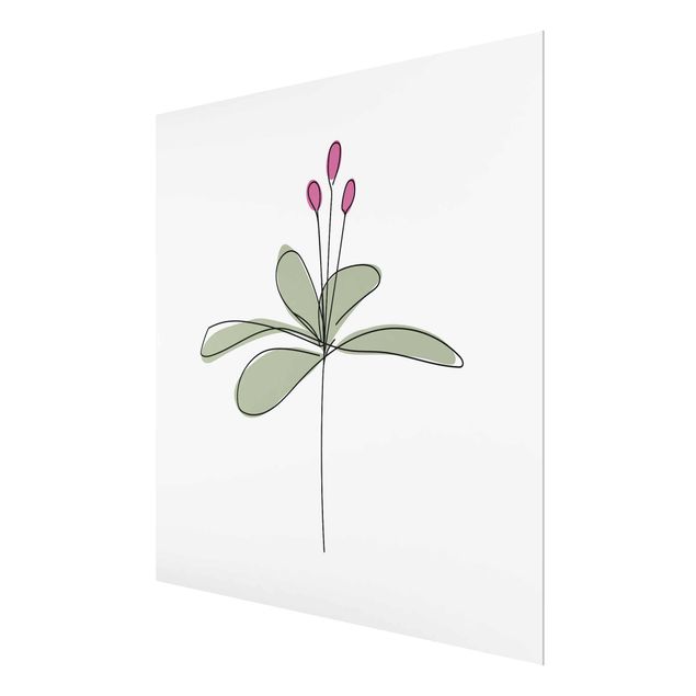 Quadro in vetro - Lily Line Art - Quadrato 1:1
