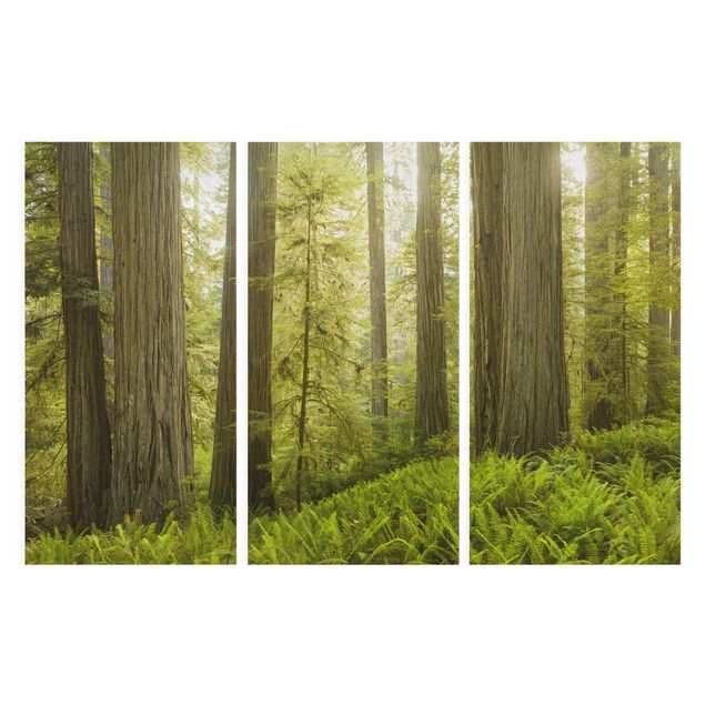 Stampa su tela 3 parti - Redwood State Park Forest View - Verticale 2:1