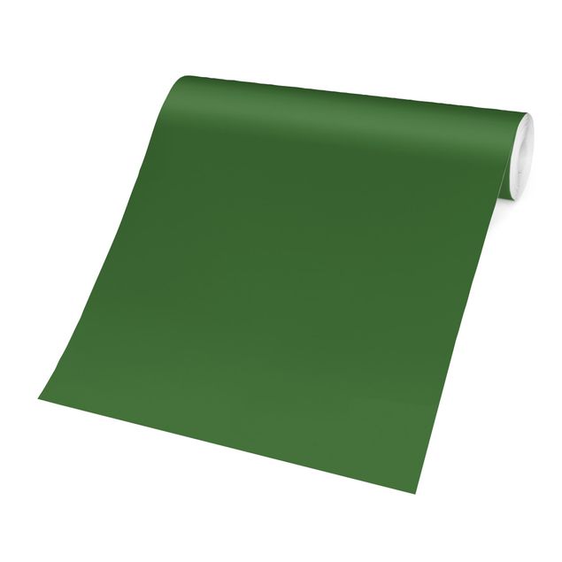 Carta da parati - Colour Dark Green - Tinta unita