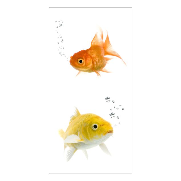 Pellicole per vetro Duo di pesci colorati