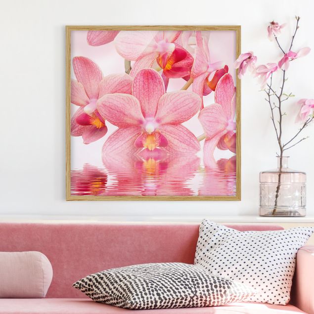 Poster con cornice - Pink Orchids On Water - Quadrato 1:1