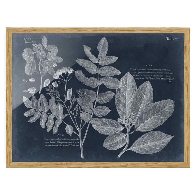 Poster con cornice - Foliage Dark Blue - Avocado - Orizzontale 3:4
