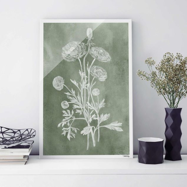 Lavagna magnetica vetro Illustrazione vintage Salvia
