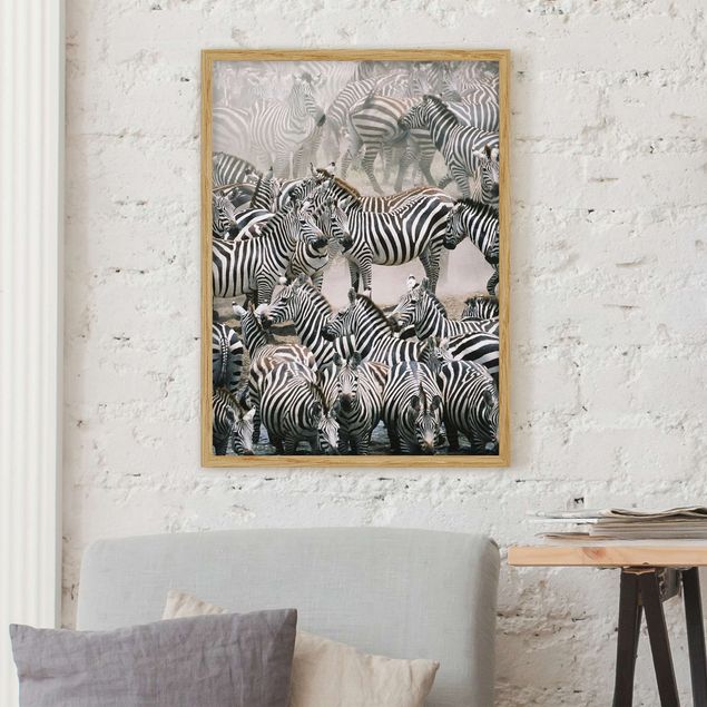 Poster con cornice - Zebra Herd - Verticale 4:3