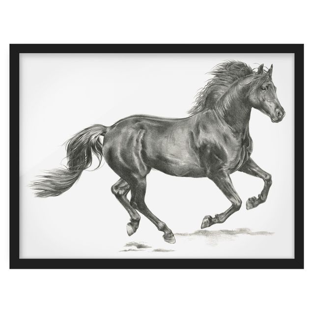 Poster con cornice - processo Wild horse - Stallion